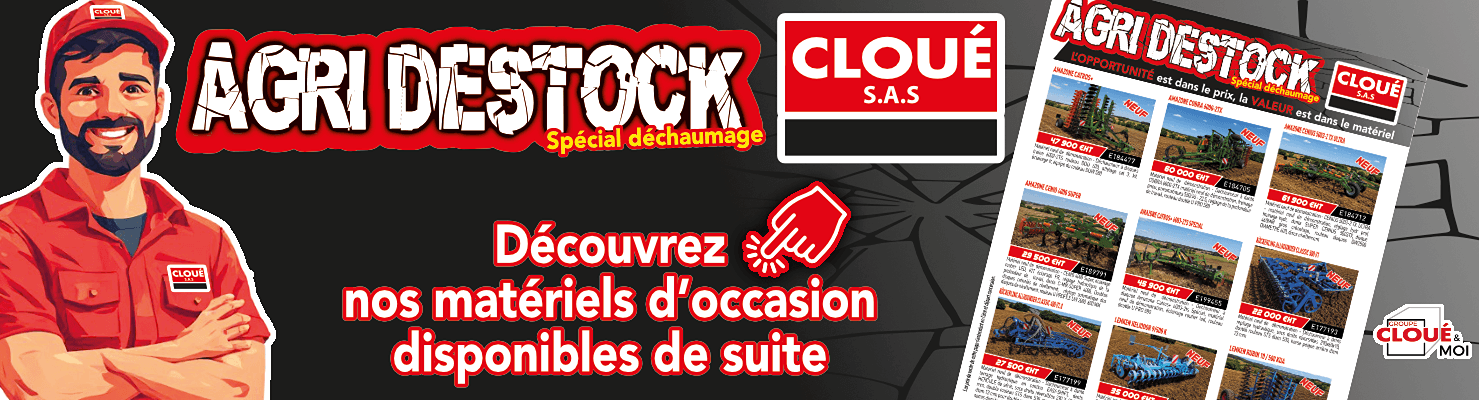 Slide 8