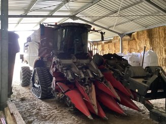 Moissonneuse batteuse Case IH AXIAL FLOW 8250 ST5 - 1